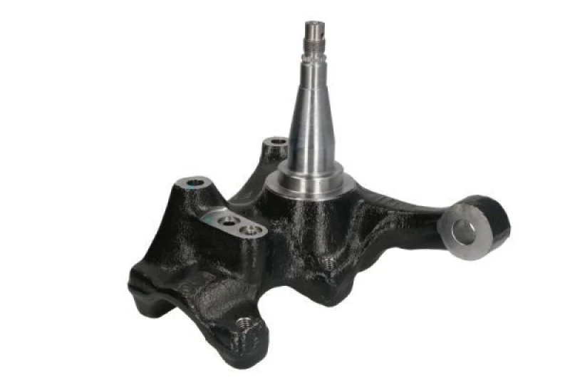 Image of REINHOCH Steering knuckle REINHOCH RH08-4025