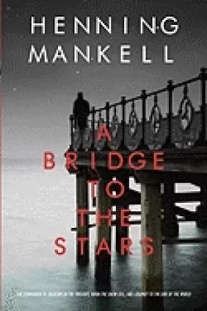 Image of bridge to the stars