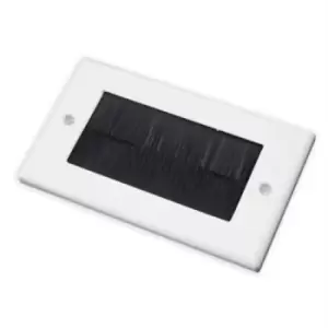 Image of White Double Gang Faceplate with Black Brush
