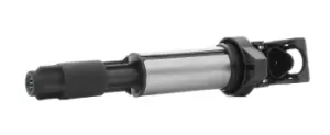 Image of RIDEX PLUS Ignition coil 689C0005P Coil pack,Ignition coil pack BMW,PEUGEOT,CITROEN,3 Touring (E91),3 Limousine (E46),3 Limousine (E90)