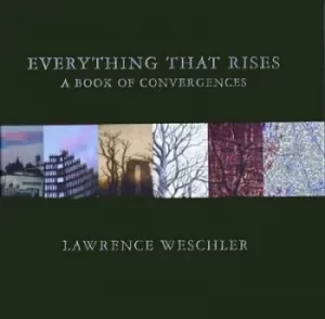 Image of Everything that rises by Lawrence Weschler