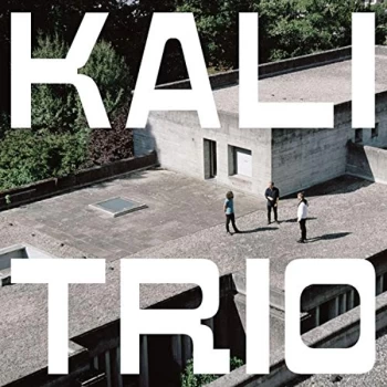 Image of KALI Trio - LOOM Vinyl