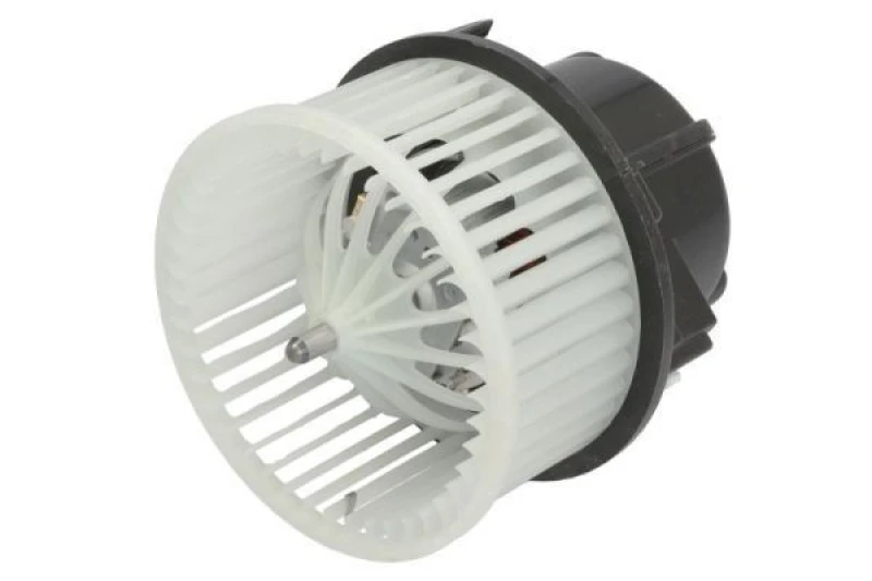 Image of THERMOTEC Blower motor THERMOTEC DDV003TT