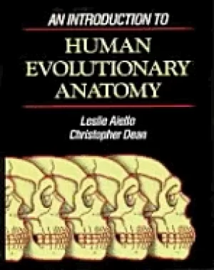 Image of introduction to human evolutionary anatomy