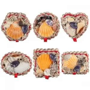 Image of Shell Trinket Box (One Random Supplied)