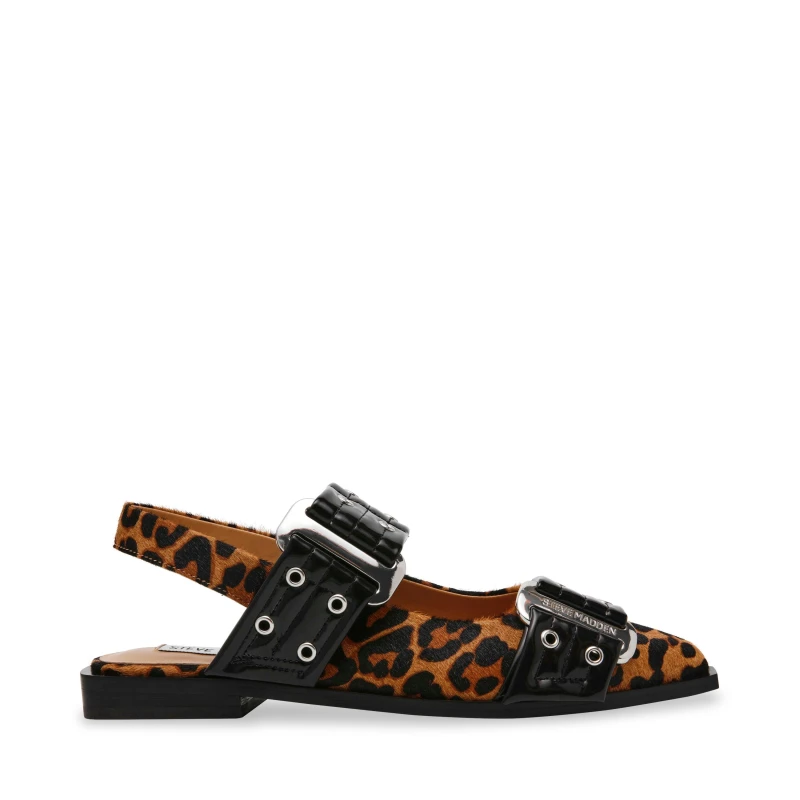 Image of Steve Madden Grand Ave Buckle Ballet Pumps - Brown Brown 5