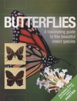 Image of Butterflies Book