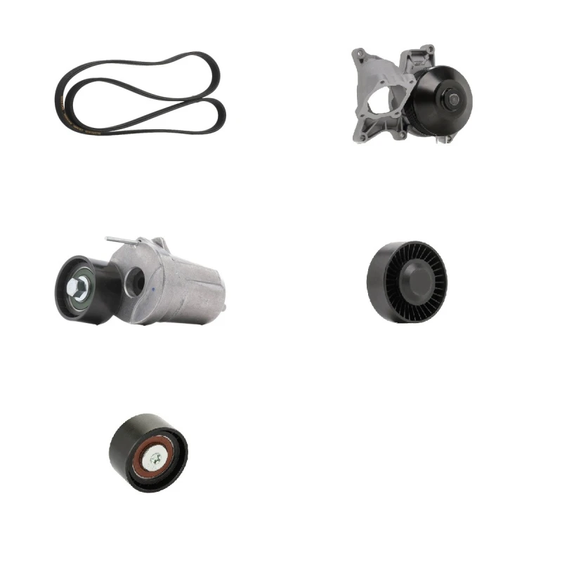 Image of RIDEX PLUS 4172P0079P Water Pump + V-Ribbed Belt Kit Check alternator freewheel clutch & replace if necessary Water Pump + V-Ribbed Belt Kit (4172)