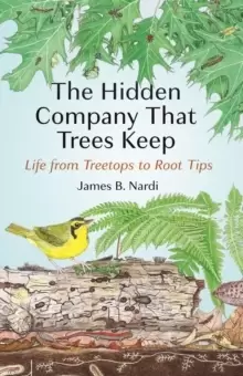 Image of The Hidden Company That Trees Keep : Life from Treetops to Root Tips
