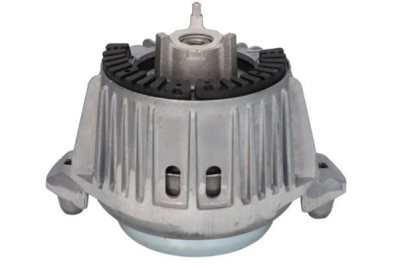 Image of REINHOCH Engine mount REINHOCH RH11-3101