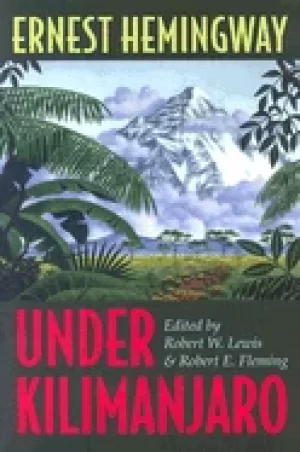 Image of under kilimanjaro