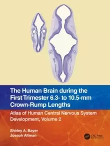 Image of The Human Brain during the First Trimester 6.3- to 10.5-mm Crown-Rump Lengths : Atlas of Human Central Nervous System Development, Volume 2