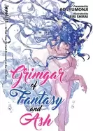 Image of grimgar of fantasy and ash vol 11