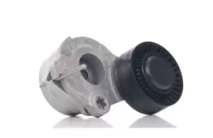 Image of INA Tensioner Lever, v-ribbed belt 534 0470 10 VW,AUDI,PORSCHE,Touareg (7P5, 7P6),A4 Avant (8K5, B8),A6 Avant (4G5, 4GD, C7),Q5 (8RB)