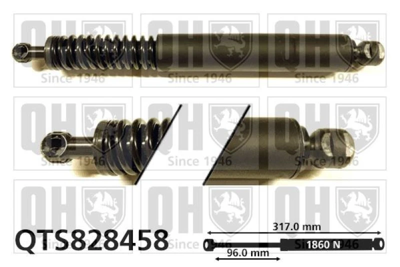 Image of QUINTON HAZELL Tailgate strut QUINTON HAZELL QTS828458