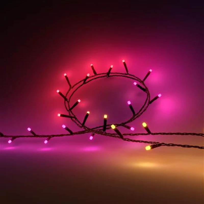 Image of Philips Hue Festavia 500 LED Smart Lighting in Black