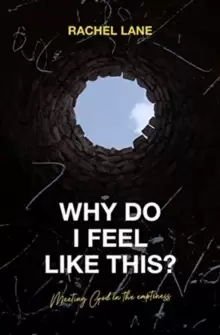 Image of Why Do I Feel Like This? Meeting God in the Emptiness