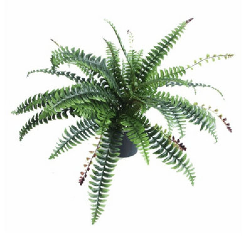 Image of Leaf Artificial Boston Fern Plant - 60Cm Boston Fern