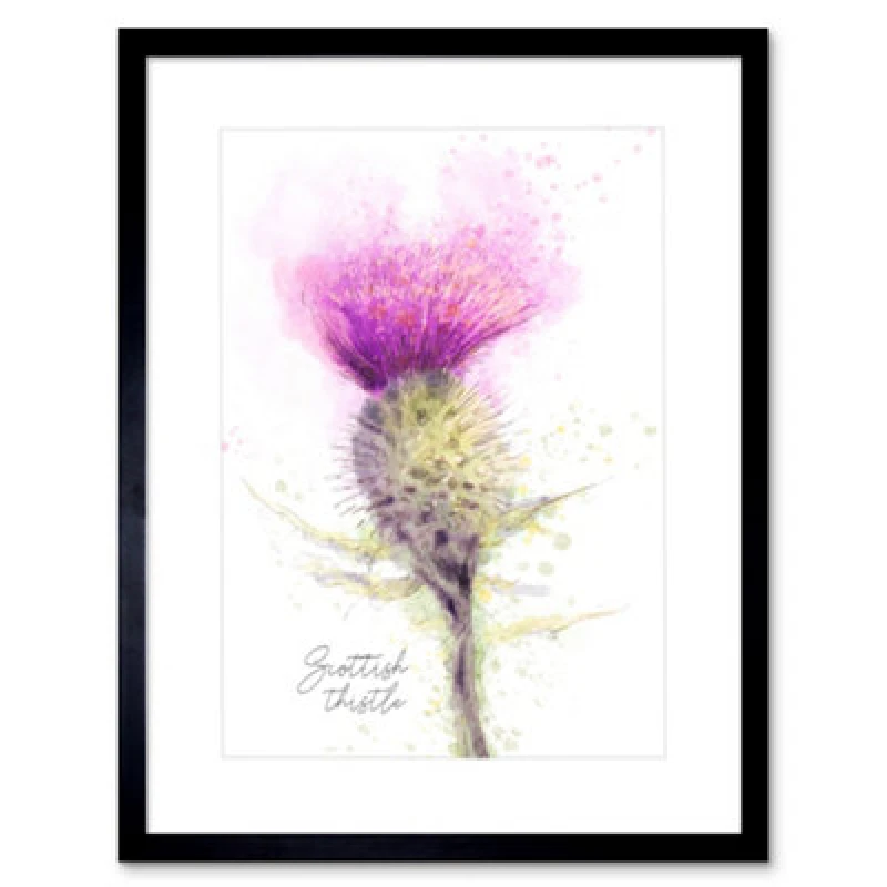 Image of Wee Blue Coo Scottish Thistle Flower Head Watercolour Scotland Framed Wall Art Print