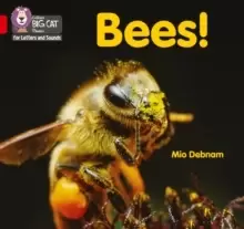 Image of Bees! : Band 02b/Red B