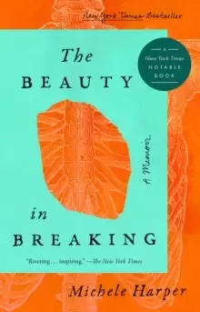 Image of The Beauty In Breaking