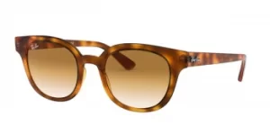 Image of Ray-Ban Sunglasses RB4324 647551