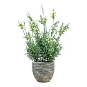 Image of Gallery Interiors Garner Potted Lavender Cream Green / Small