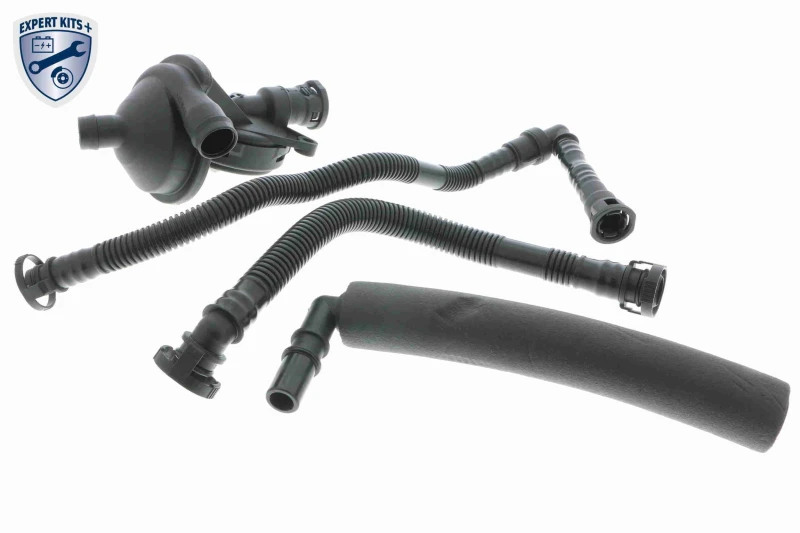 Image of Repair Set, crankcase breather VAICO V20-2508