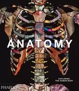 Image of anatomy exploring the human body