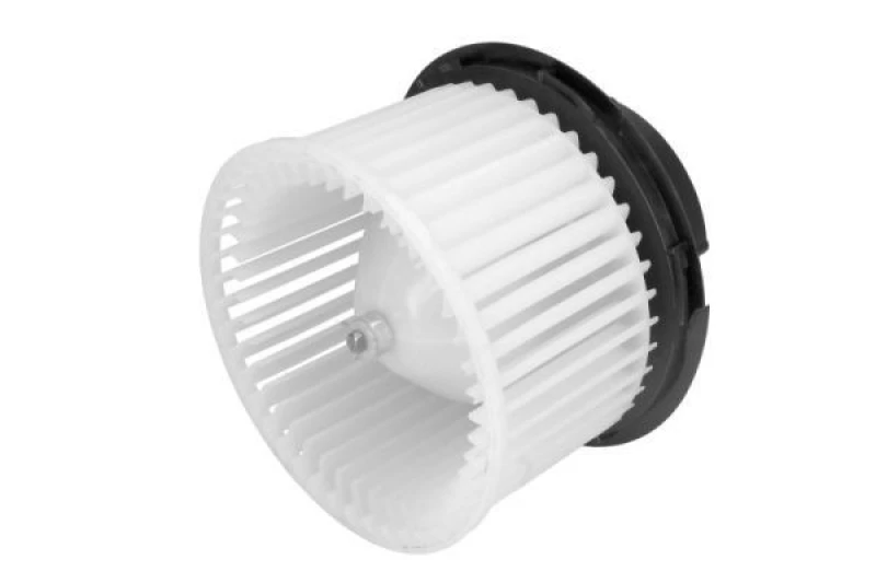 Image of THERMOTEC Blower motor THERMOTEC DD1002TT