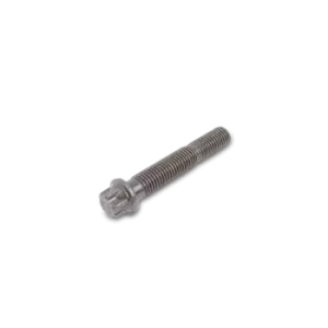 Image of SWAG Bolt, crankshaft mounting bracket 30 91 8164 VW,AUDI,FORD,Golf IV Schragheck (1J1),Golf V Schragheck (1K1),Passat Variant (3C5)