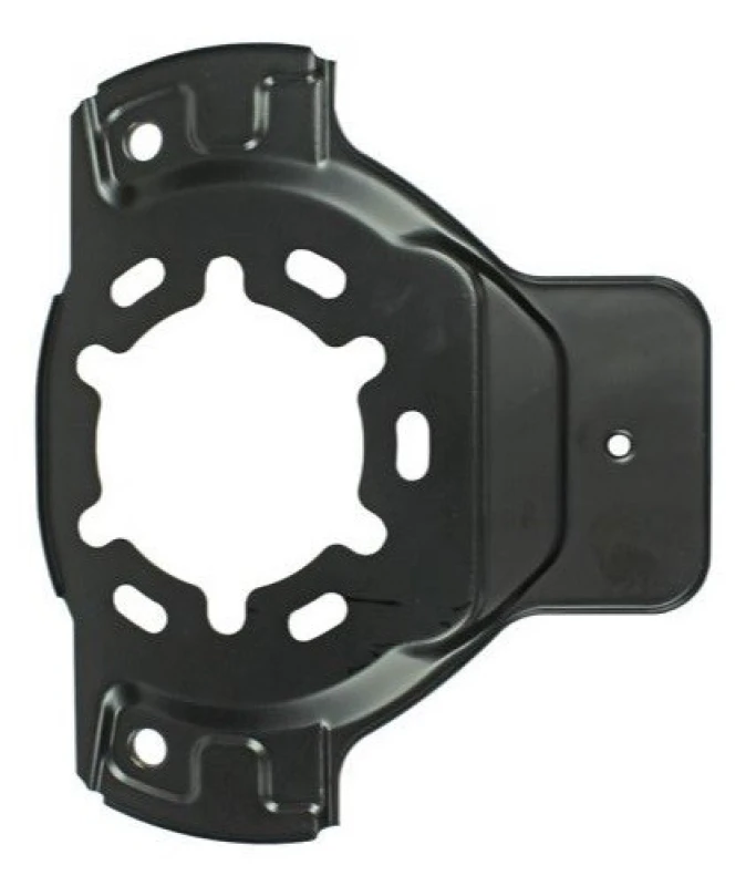 Image of PROCARO Brake disc backing plate PROCARO PR19-1124