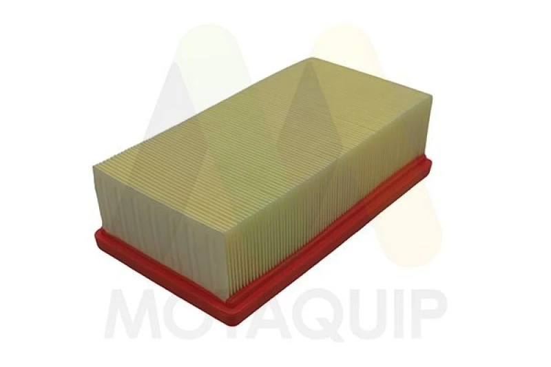 Image of MOTAQUIP Air filter MOTAQUIP LVFA1759