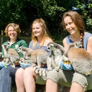 image of Animal Encounter at Flamingo Land Theme Park and Zoo for One