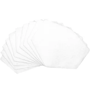 Image of Delphis Reusable Face Mask Filters (Pack of 10)