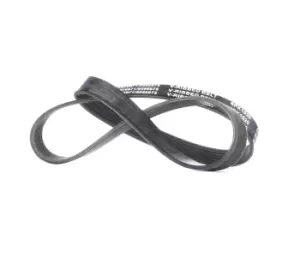 Image of RIDEX V-ribbed belt MERCEDES-BENZ,RENAULT,PEUGEOT 305P0291 11180104102013,0079979492,0089977192 A0079979492,A0089977192,119202F200,1192053J00