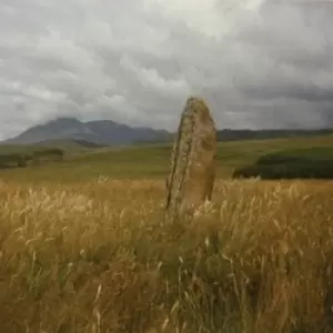 Image of In Search of Spaces by Flying Saucer Attack Vinyl Album