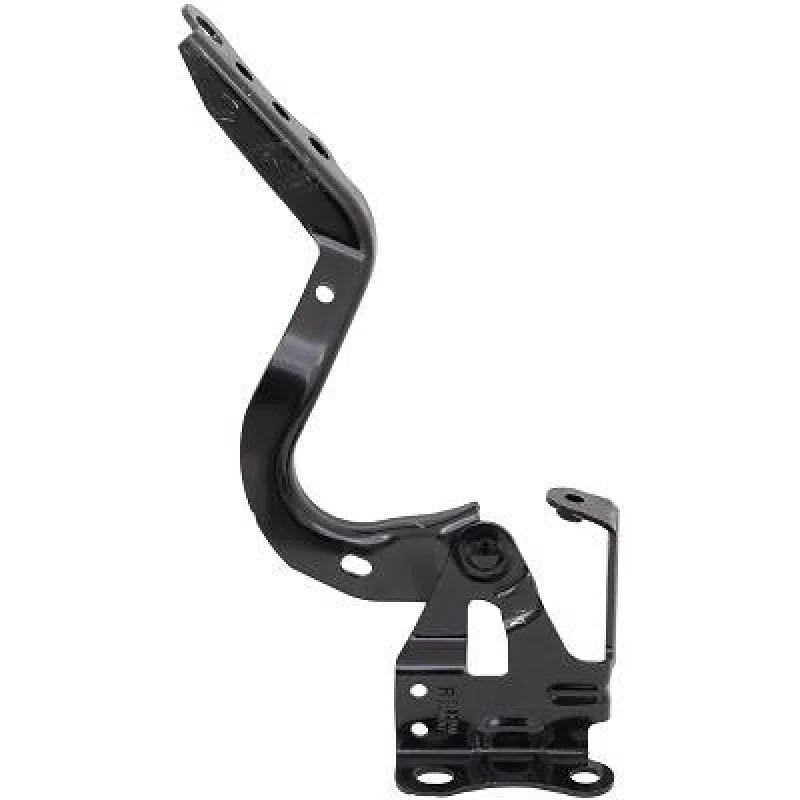 Image of Hinge, bonnet DIEDERICHS 6637019