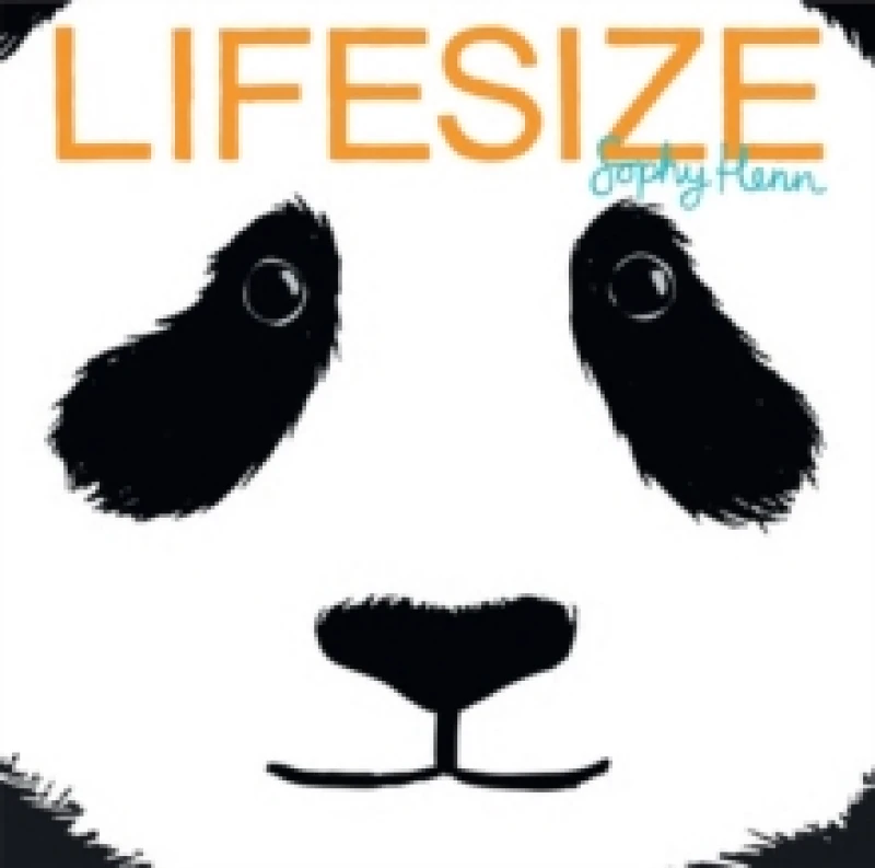 Image of Lifesize Paperback / softback