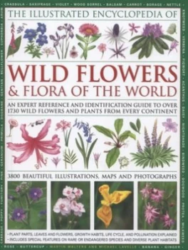 Image of The Illustrated Encyclopedia of Wild Flowers and Flora of the World by Martin Walters and Michael Lavelle and Michael Lavelle and Martin Walters Hardb