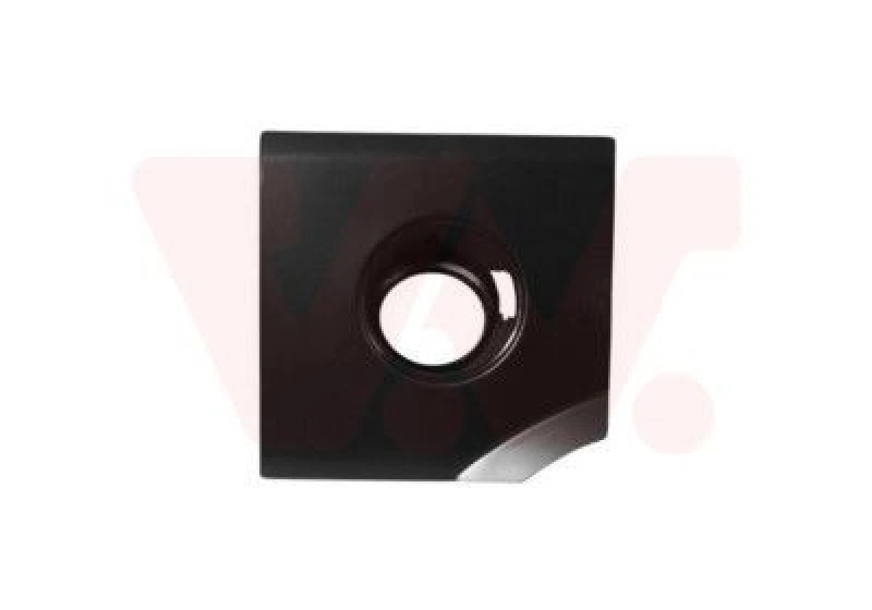 Image of VAN WEZEL Side panel VAN WEZEL 3743191