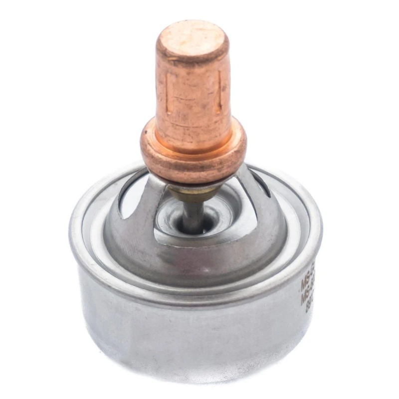 Image of MASTER-SPORT Thermostat MASTER-SPORT 6001544059-PCS-MS