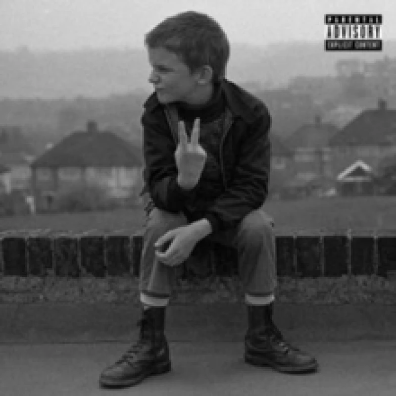 Image of Vandals CD / Album