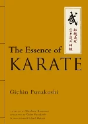 Image of essence of karate