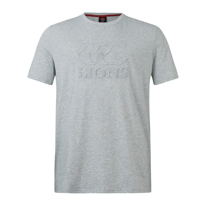 Image of Canterbury British and Irish Lions Monument T-Shirt 2024 Adults - Grey Grey S