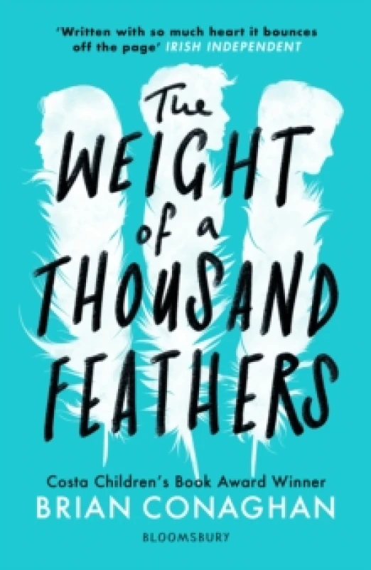 Image of The Weight of a Thousand Feathers Paperback / softback