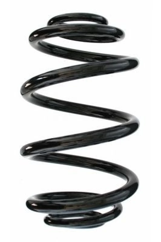 Image of Coil spring SPIDAN 87029