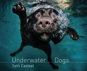 Image of Underwater Dogs by Seth Casteel Hardback