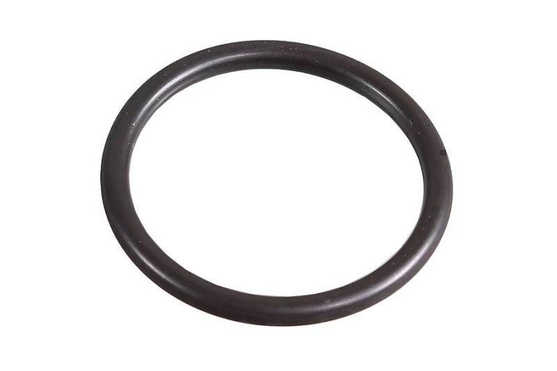Image of Seal Ring METZGER 2430034
