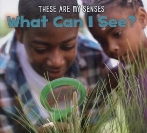 Image of What Can I See by Joanna Issa Hardback